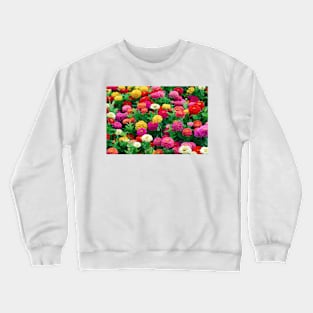 Zinnia elegans 'Dreamland Mix' (C013/1670) Crewneck Sweatshirt